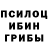 Галлюциногенные грибы Cubensis David Pen